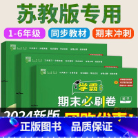 3册[苏教版]数学+[人教版]语文+[译林版]英语 六年级下 [正版]2024春版 苏教版数学试卷测试卷全套教辅书小学三