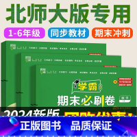 3册[北师大版]数学+[人教版]语文+[人教PEP版]英语 六年级下 [正版]2024春版 北师大版数学试卷测试卷全套教