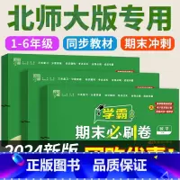 3册[北师大版]数学+[人教版]语文+[人教PEP版]英语 六年级下 [正版]2024春版 北师大版数学试卷测试卷全套教