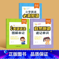 记语法+背短语+记单词 [正版]易蓓小学英语必背短语常考短语知识点汇总固定搭配大全专项练习重点攻关思维导图记单词词汇一二