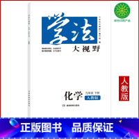 化学 九年级下 [正版]全新学法大视野九年级下册化学人教版湖南教育出版社配套人民教育出版社化学9年级下册人教版初三下册化