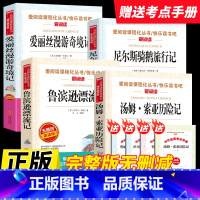 [全套4本送考点]鲁滨逊+汤姆·索亚+爱丽丝+尼尔斯 [正版]2025新版快乐读书吧六年级上册小英雄雨来爱的教育童年小学