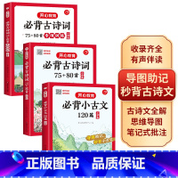 [夯实基础]古诗词75+80首+小古文+专项训练-3本套 小学通用 [正版]小学生必背小古文120篇分级阅读与训练人教版
