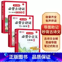 [夯实基础]古诗词75+80首+小古文+专项训练-3本套 小学通用 [正版]小学生必背小古文120篇分级阅读与训练人教版