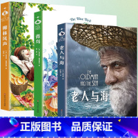 [3册]老人与海+柳林风声+青鸟 [正版]老人与海 无删减版 海明威中文版原著中小学青少年学生必读世界名著经典名