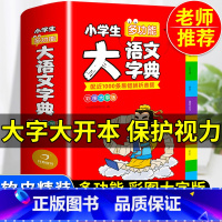 [正版]2024小学生大语文词典小多功能大全四字彩图彩色版中华现代汉语词语工具书中小学字典儿童成语训练大字典2022年