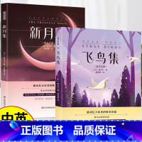 [英汉对照]飞鸟集+新月集 全2册 [正版]新月集 飞鸟集泰戈尔诗集全2册双语版英汉对照初中生课外书阅读必读书籍经典名著