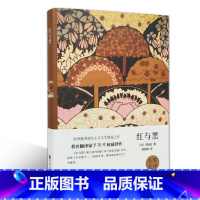 [正版]红与黑(名家名译)司汤达 无删减 世界经典文学名著 文学书籍 学生青少年课外阅读 红与黑(中文版)