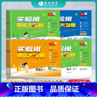 [人教版]语文 一年级下 [正版]2024春年新版小学实验班提优大考卷上下册一二三四五六上下年级语文人教数学苏教英语外研