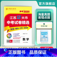 数学 江苏省 [正版]备考2025年江苏省中考数学冲刺试卷2024江苏省中考数学真题试卷精选 九年级下 江苏省十三市中考