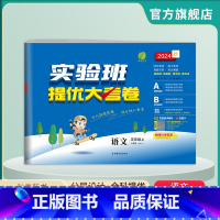 语文 五年级上 [正版]2024年秋 小学语文实验班提优大考卷五年级上册人教版 5年级上册RJ单元基础巩固分层能力提优期
