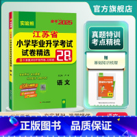 语文 [正版]备考2025小升初升学语文模拟卷 2024年江苏省小学毕业升学考试真题试卷精选28套六年级小考总复习资料教