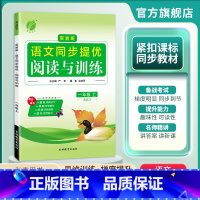 语文 一年级上 [正版]2024年秋 小学语文实验班同步提优阅读与训练一年级上册人教版 1年级上册RJ版同步专项训练写作
