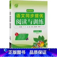 语文 五年级下 [正版]2024年春 小学语文实验班同步提优阅读与训练五年级语文下册人教版 5年级下册RJ版阅读理解写作