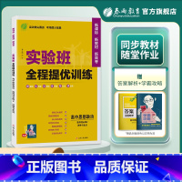 思想政治 选择性必修2 [正版]2024新版 实验班全程提优训练高中思想政治选择性必修2法律与生活 春雨教育新高考选修2