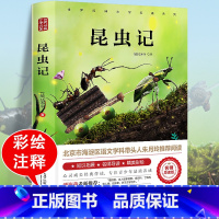 昆虫记 [正版]昆虫记原著完整版法布尔著全集小学生三四年级下册必读的课外书老师美绘少儿版人民儿童文学教育阅读书籍