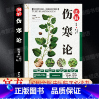 [正版]伤寒论张仲景原著全集 伤寒杂病论 白话彩图精解 零基础学养生中医书籍大全中医知识自学入门古籍出版社医学类全书