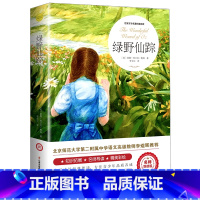 绿野仙踪 [正版]绿野仙踪原著小学生三年级四年级必读课外书籍青少年无障碍阅读朱月玲老师儿童文学获奖作品木偶奇遇记著名作家