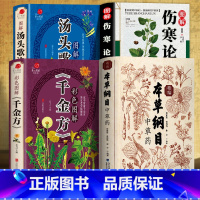 [正版]本草纲目+汤头歌诀+伤寒论+千金方 精编中草药中医学类书籍中医基础理论基础学倪海饮食民间家庭养生偏方秘方大全常