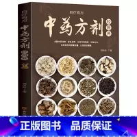 [正版]中药方剂学大全速记手册轻图典中医书籍中药材图鉴大全百科书常见中药材功效解读中药知识入门对症调理养生药膳食谱中医