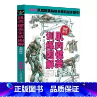 [正版]肌肉健美训练图解(修订版)运动肌肉解剖学图谱健身教程大全健身书籍增肌书健身教练书籍功能性训练书肌肉拉伸训练力量