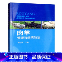 [正版]肉羊管理与疾病防治养羊技术书籍羊病防治实用手册羊饲料配方中国农业出版社山羊养殖技术书羊病综合治疗大全牛羊养殖书