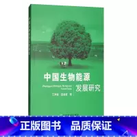 [正版]中国生物能源发展研究从经济学原理角度分析了世界的原因及影响因素发现能源产品需求和价格的上升是生物能源发展的主要