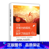 [正版]只有不努力的现在,没有到不了的远方催人奋进的心灵抚慰剂激励那些正在人生路上默默奋斗却内心迷茫的人努力奋斗获得成