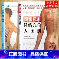 [正版]赠刮痧板国家标准经络穴位大图册+特效穴位按摩大图册人体经络穴位图解书中医养生人体经络按摩保健推拿女性经络穴位按