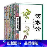 [正版]中医药经典著作全套4册 脉经+难经+针灸甲乙经+伤寒论张仲景原著白话精解版 针灸入门中医书籍大全零基础中医基础