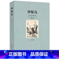 [正版]QJ NJN 神秘岛/外国名著 全译本 无删节 凡尔纳著 神秘岛 原著翻译 凡尔纳小说 书籍 北方文艺出版