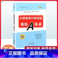 数学 小学六年级 [正版]小学数学升学夺冠训练A体系 小升初知识大集结同步专项训练题小考六年级期末总复习资料包数学基础知