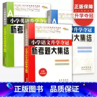 [正版]小学升学夺冠新考题大集结语文数学英语全套六年级小升初真题卷题小学毕业升学总复习资料包小考专项训练知识大全名校