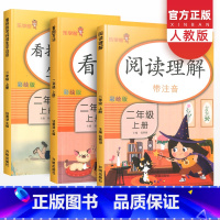 看图写话+阅读理解+看拼音写词语 二年级上 [正版]看图写话+阅读理解+看拼音写词语二年级上册生字注音人教版 小学语文专