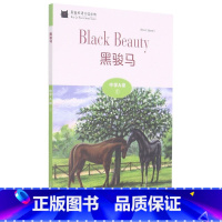 英语 初中通用 [正版]BK黑猫英语分级读物:中学A级1,黑骏马