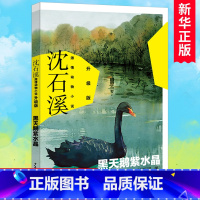 黑天鹅紫水晶(升级版) [正版]沈石溪动物小说全套11册狼王梦全本白狼狼世界黑天鹅紫水晶白天鹅红珊瑚神奇的警犬老象恩仇记