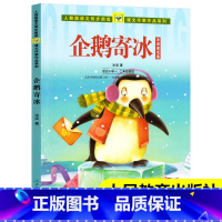 [正版]企鹅寄冰(适合小学1\2年级阅读冰波童话集)彩图注音版人教版语文同步阅读课文作家作品系列一二年级课外书人民教育