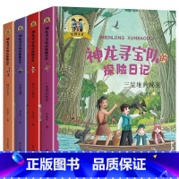 神龙寻宝队的探险日记 共4册 [正版]神龙寻宝队的探险日记 共4册谷清平著彩图注音国宝不见了智斗大神巫三星堆的秘密沉船宝