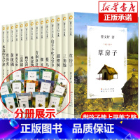 [礼盒装]曹文轩儿童文学全套14册 [正版]草房子原著完整版曹文轩 曹文轩儿童文学 三四五六年级小学生课外书书籍9-12
