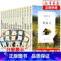 [礼盒装]曹文轩儿童文学全套14册 [正版]草房子原著完整版曹文轩 曹文轩儿童文学 三四五六年级小学生课外书书籍9-12