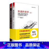 [正版]街道的美学 上下全套2册 建筑与规划建筑设计书籍 文化象征精品设计 外部空间街道景观住宅日本建筑学 城市规划公