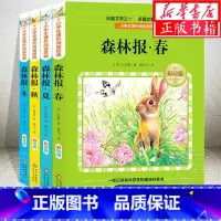 森林报 春夏秋冬(全4册) [正版]森林报春夏秋冬全套4册 四年级课外书10-15岁 三四五年级班主任 小学生课外阅读书
