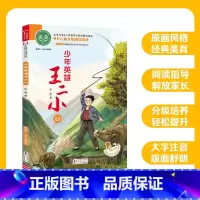 ao鹅注音版 少年英雄王二小 [正版]ao鹅注音版少年英雄王二小适合6-7岁儿童幼儿大语文分级阅读童话故事书一二年级小学