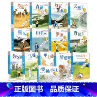 [一次买齐14册]曹文轩儿童文学全套 [正版]青铜葵花曹文轩原版完整版纯美小说系列草房子山羊不吃天堂草蜻蜓眼红瓦黑瓦樱桃