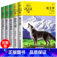 [5册]沈石溪动物小说 [正版]狼王梦沈石溪完整版四五年级沈石溪动物小说系列升级版 7-12-14岁三四五六年级小学生课