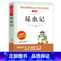 昆虫记 [正版]昆虫记法布尔原著小学生三年级四五六年级小学生课外书昆虫记初中完整版8-10-12岁青少年课外阅读书籍儿童