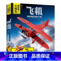[正版]动手做飞机大模型 超常规尺寸立体拼插模型 7-10岁儿童手工益智智力开发拼装游戏书籍 飞机模型科普百科书 飞机