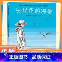 单本全册 [正版]天堂里的海龟 詹妮弗·L.霍尔姆著 美国纽伯瑞儿童文学奖银奖 8-9-10-12岁小学生课外阅读书籍儿