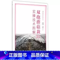 [正版]双孢蘑菇栽培实操技术图解 书籍 木垛图书