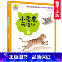 [正版]小老虎历险记注音全彩美绘上册 汤素兰童话故事书 小学生1-3年级课外书一二三年级 课外读物 儿童冒险故事书 春